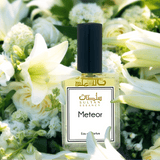 Sultan Essancy Meteor Perfume For Women - Plenty Perfumes